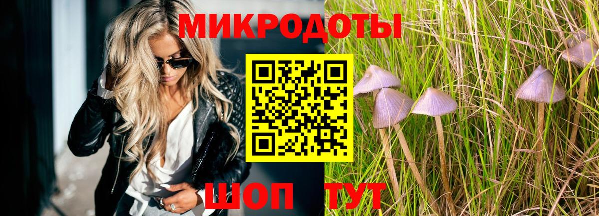 Галлюциногенные грибы MAGIC MUSHROOMS Кольчугино