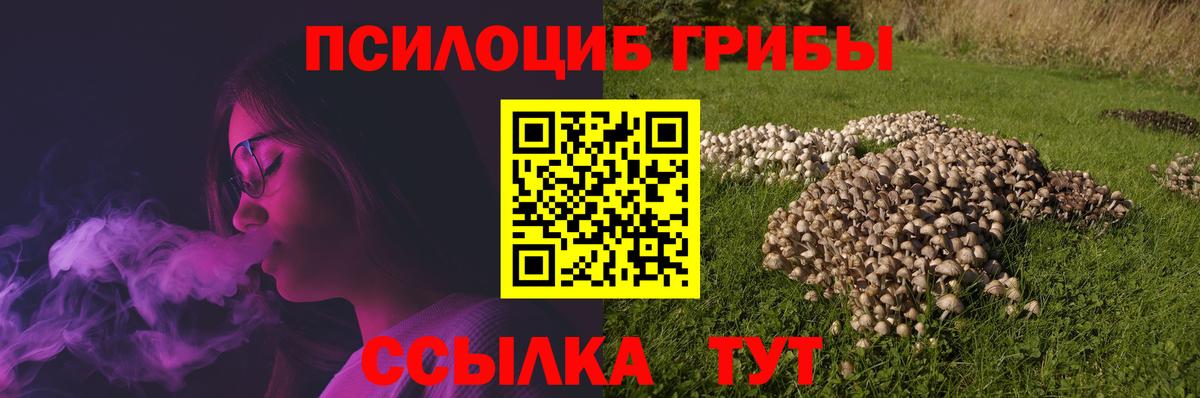 Псилоцибиновые грибы MAGIC MUSHROOMS  Вход с VPN  Кольчугино 